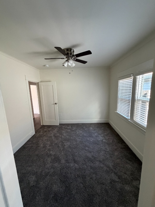 Building Photo - 541 W Commonwealth Ave