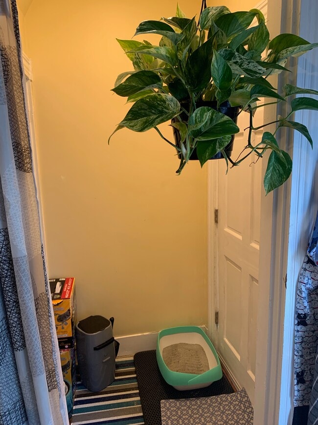 Building Photo - 5-7 Blake St. Unit 1