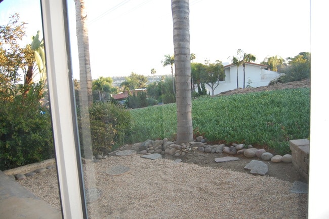 Backyard - 1911 Estrella De Mar Ct