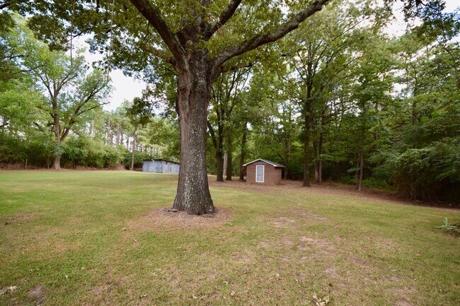 Building Photo - 3 Bed 1 Bath Home!