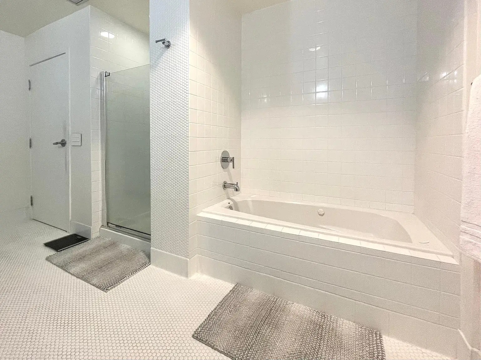 Primary tub and shower - 835 Locust Ave