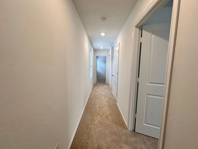 Building Photo - 3 Bed New Build Home