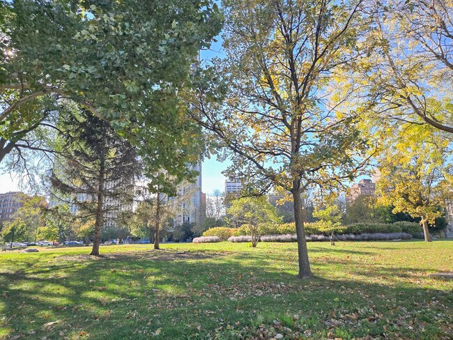 Building Photo - 2909 N Sheridan Rd