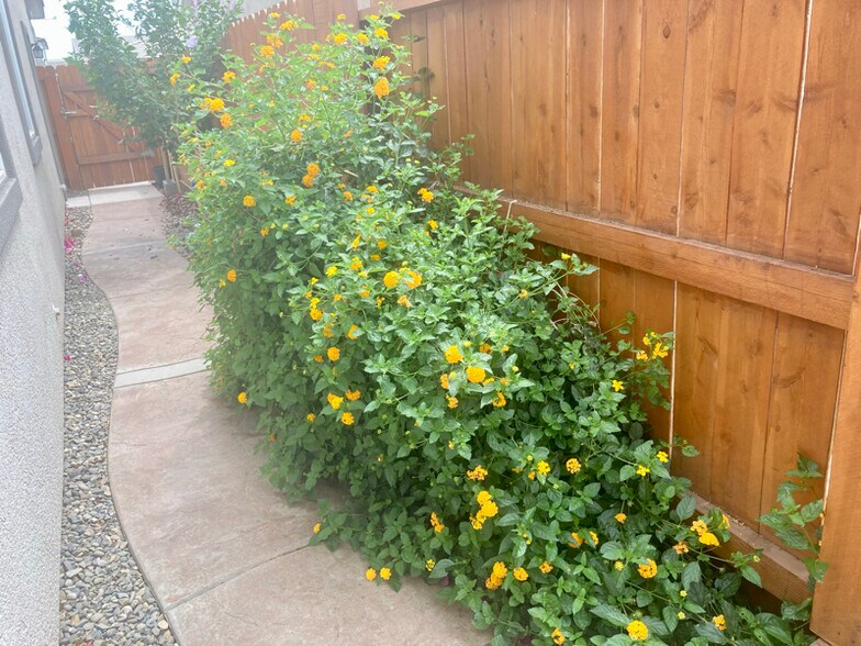 Building Photo - 3213 Showcase Way