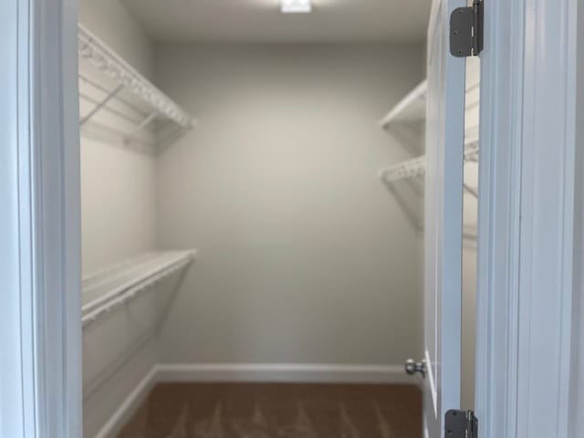 Building Photo - 3011 Grouper Run