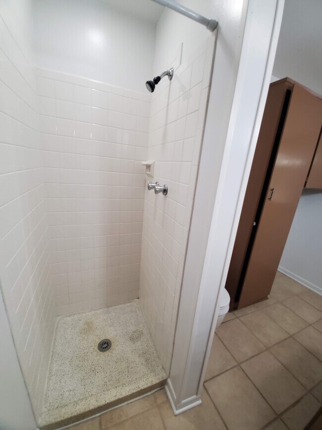 Lower Bathroom Shower View - 591 E Glenlord Rd