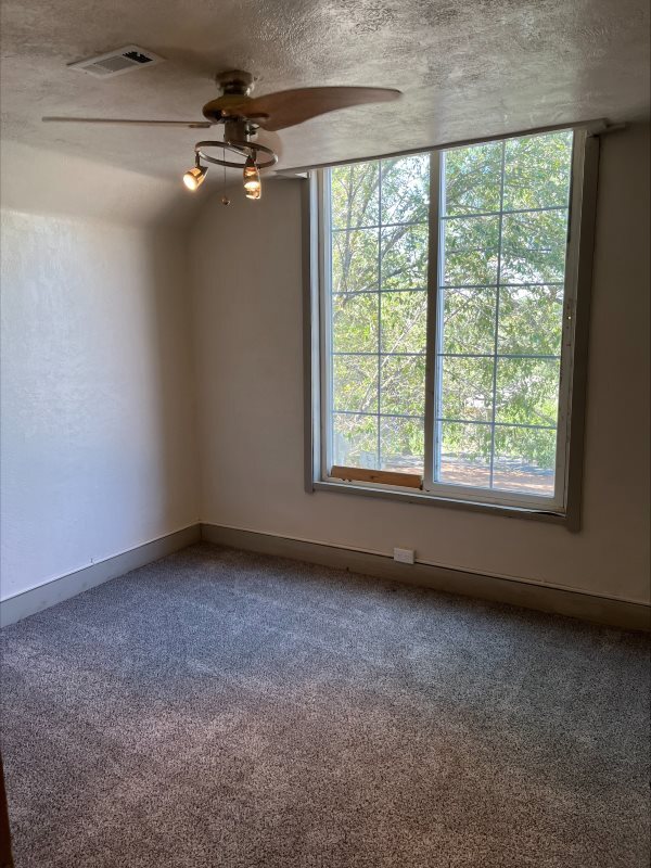 Building Photo - 515 Bellevue Pl