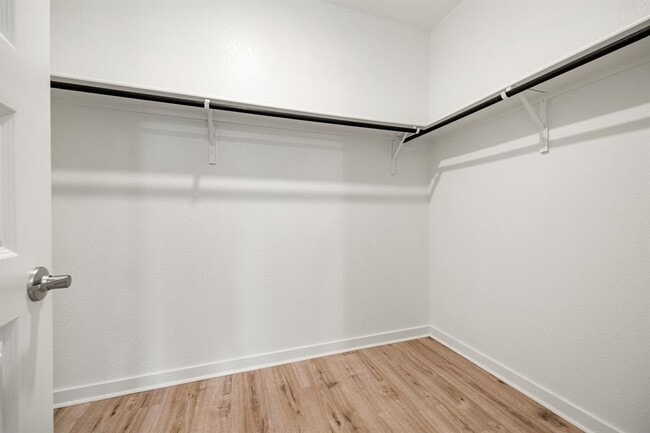 Building Photo - 904 Balsora Cv