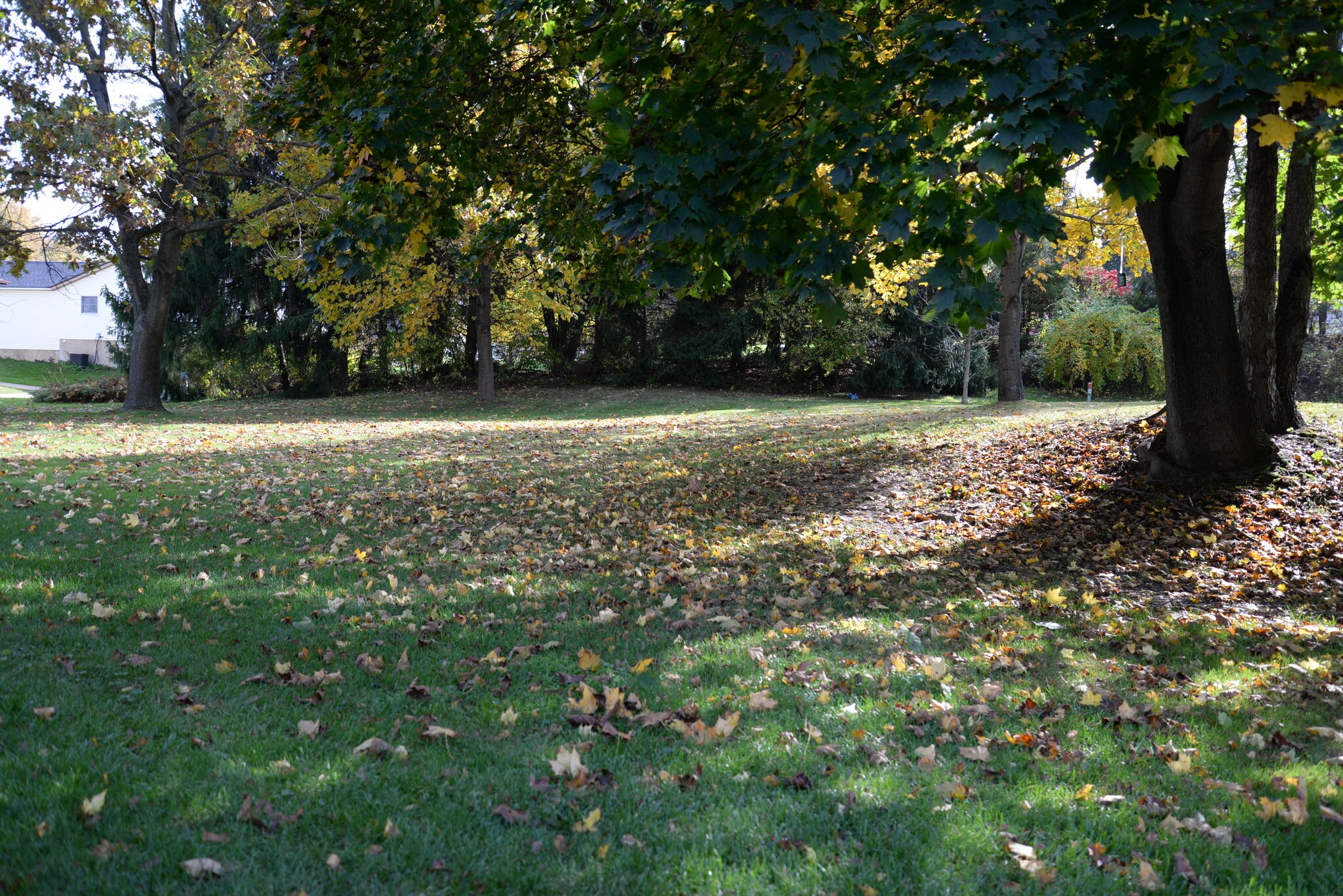 Backyard - 892 Postiy St NW