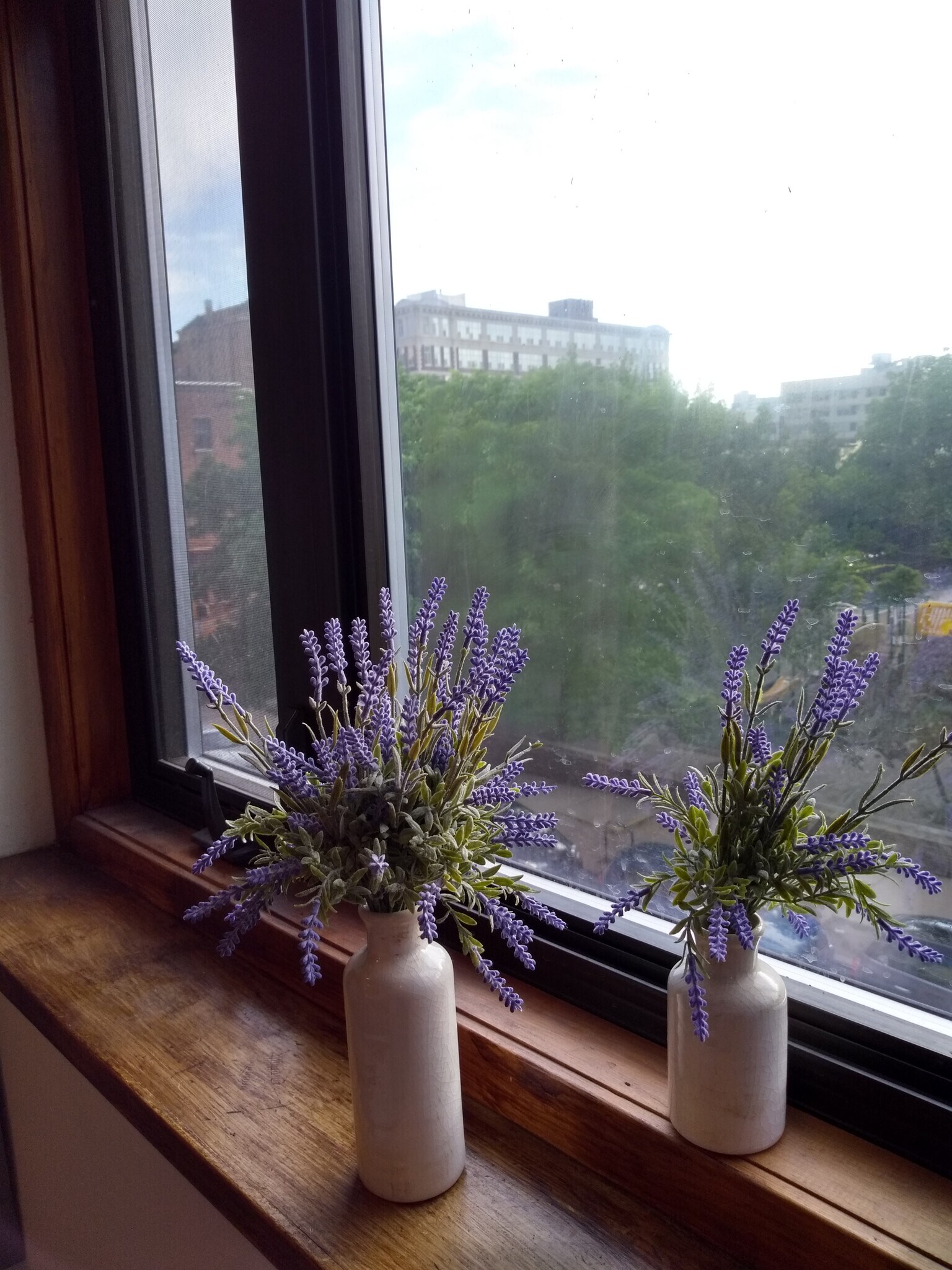 View from Front Windows - 109 S 22nd St