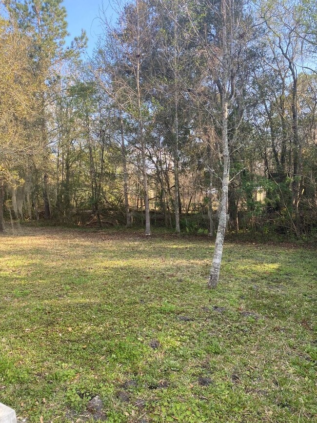 Building Photo - Lovely 2x1 in St. Augustine! Gorgeous Upgrade Kitchen!