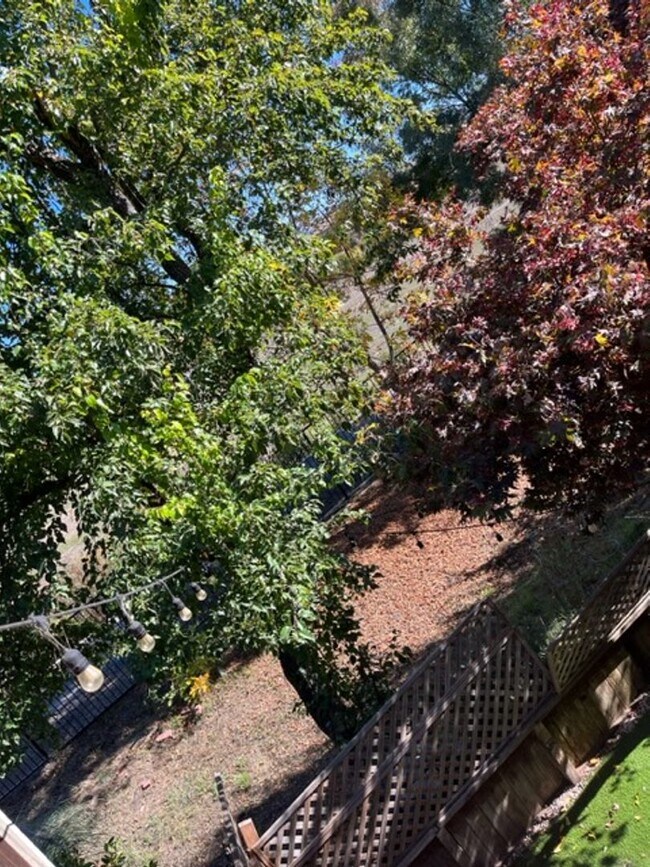 Building Photo - Redwood Park Estates Condo.  Available NOW!