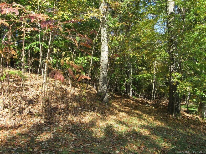 back of yard - 63 Troiano Rd