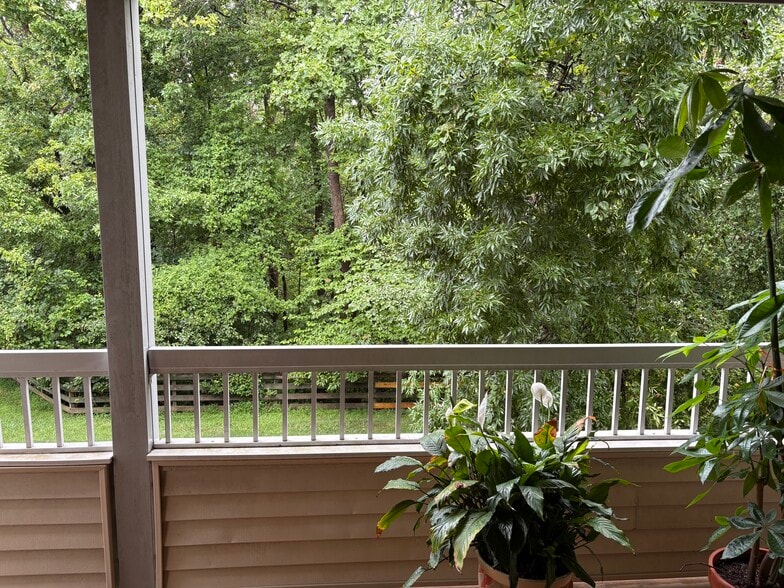 Face to woods - 113 Cascade Ct