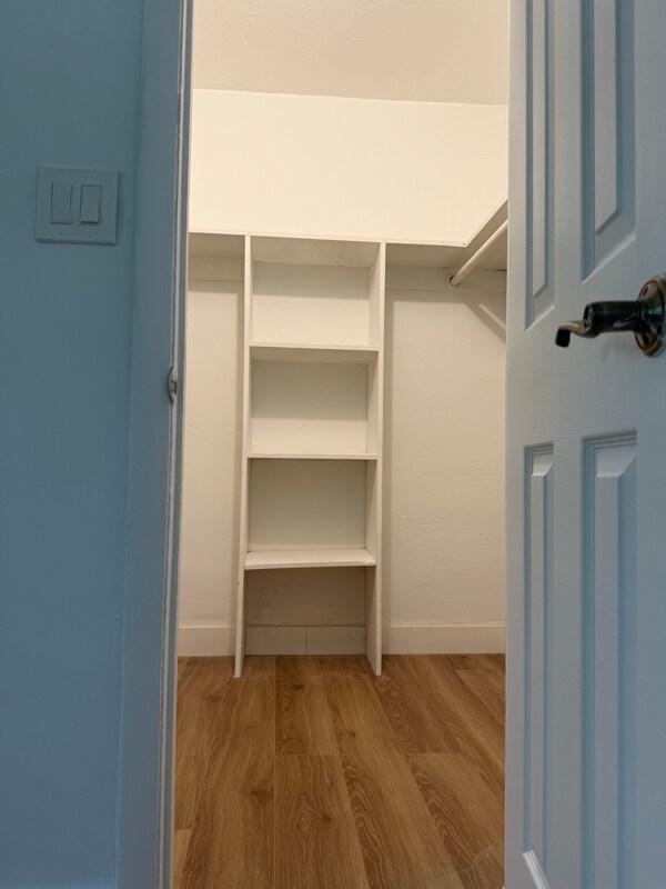 Building Photo - 1014 Salzedo St