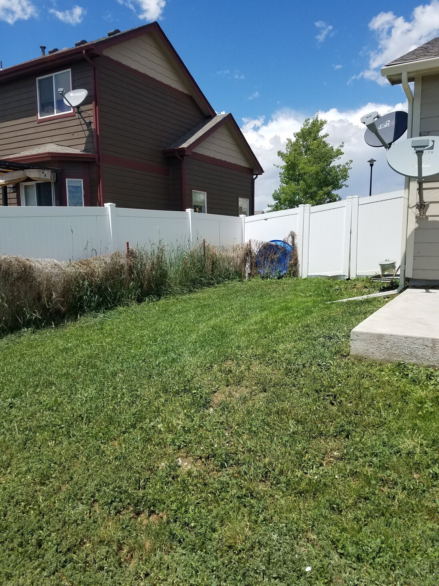 Summer exterior - 3761 Mt Flora St