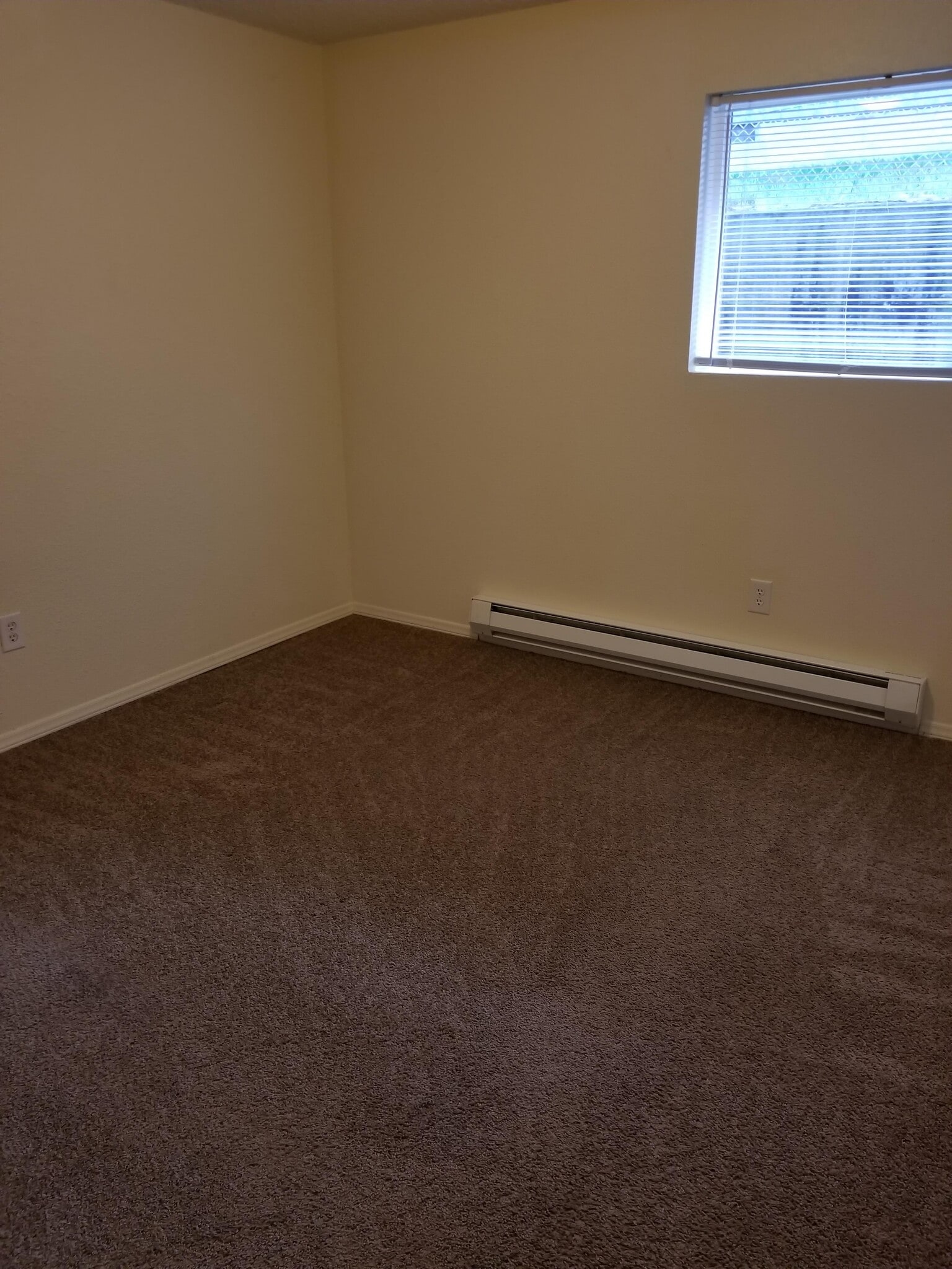 2ND BEDROOM - 511 Constitution Ave S