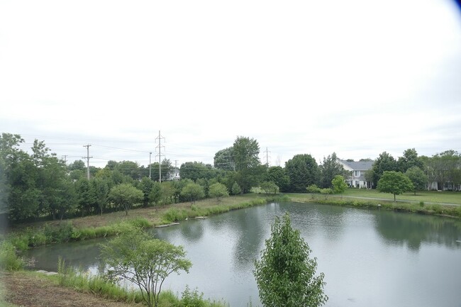 Building Photo - 205 Springbrook Trail S