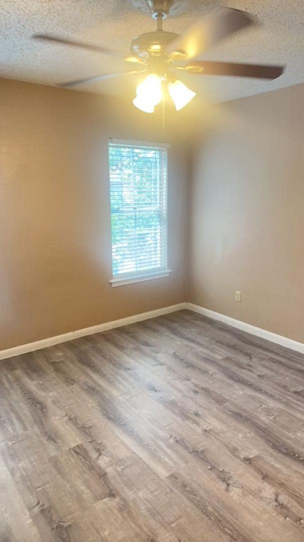 Building Photo - 2529 Rio Grande St