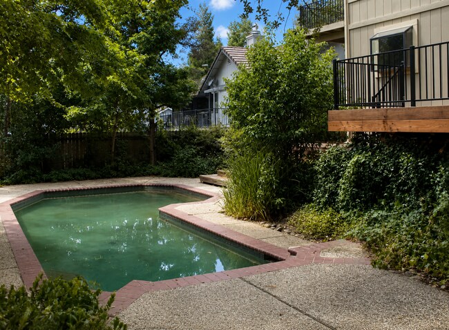 Building Photo - Beautiful Two-Story Auburn Oaks Home with Private Pool
