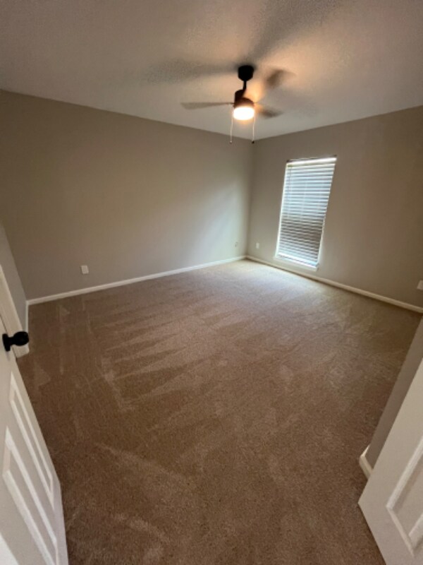 Building Photo - 2306 Wild Olive Ct