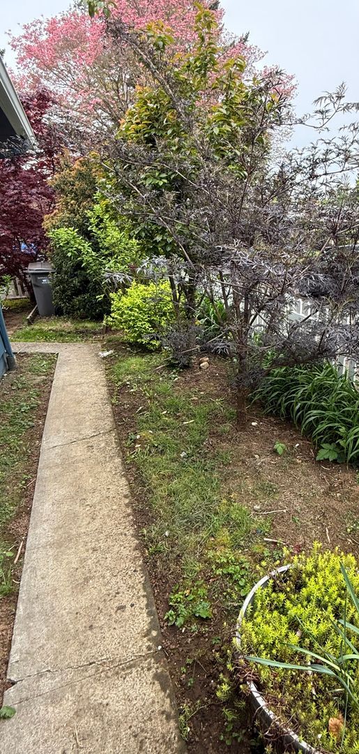 Building Photo - Well-cared-for home with strong curb appeal and quality updates in Southeast Portland.