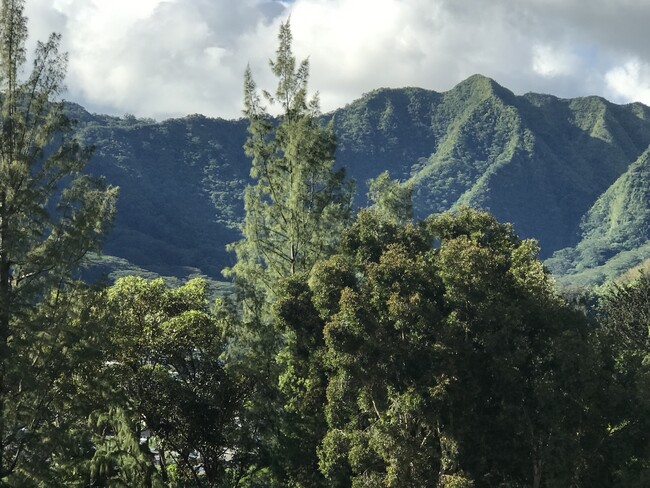 Abundance of Nature surrounding - 3321 Anoai Pl