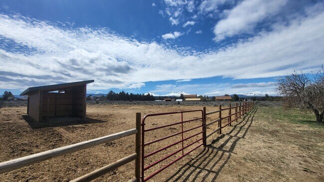 Building Photo - 3 Bed 2 Bath Single level - Horse Property...