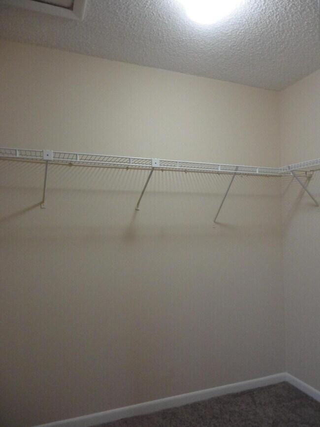 Building Photo - 4717 Sable Pine Cir