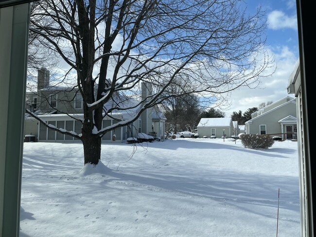 From patio in winter - 1002 Cambridge Ct