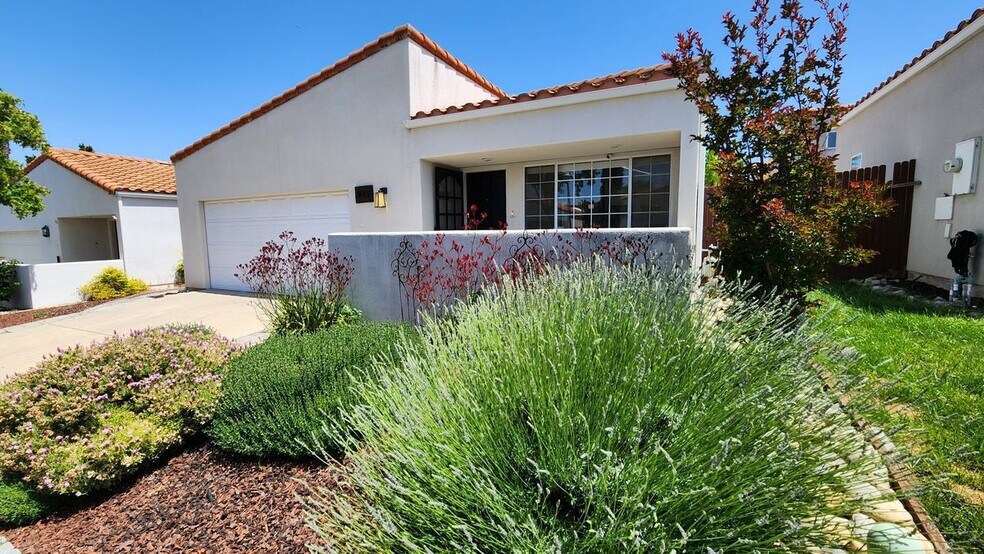Primary Photo - 911 Patria Cir