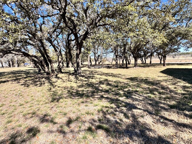 Building Photo - 3/2 on 10 Acres in Bangs