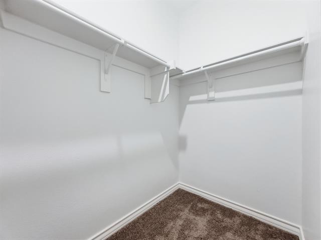 Building Photo - 663 Saxony Dr