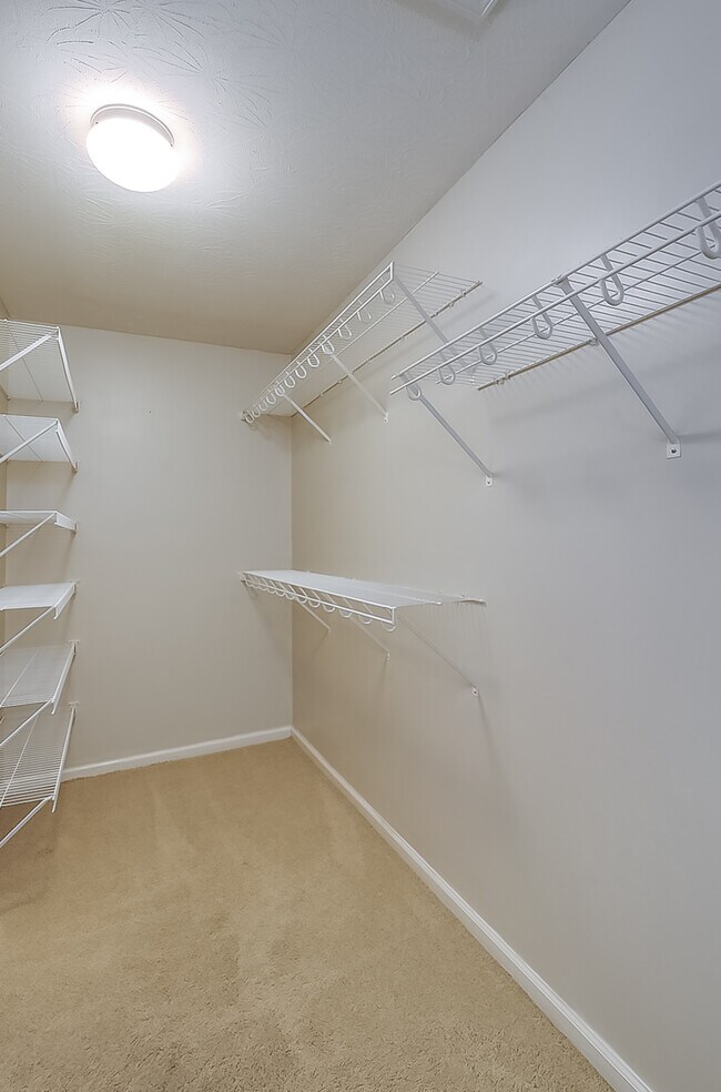 Building Photo - 2481 Crescenzio Way