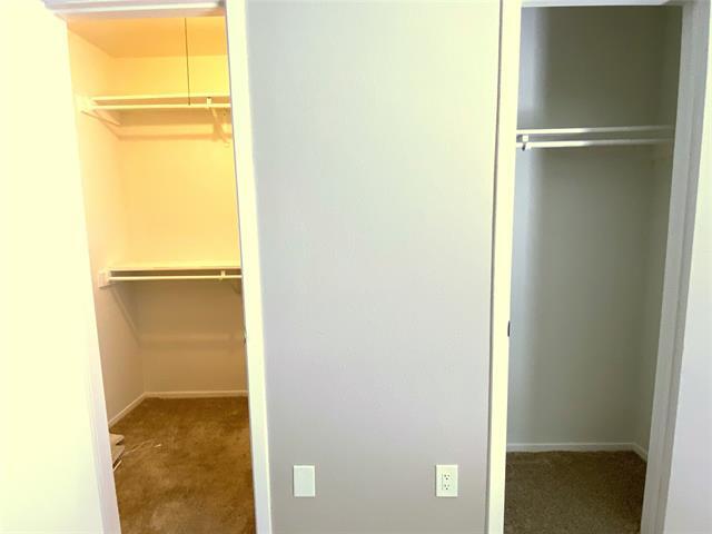 Building Photo - 2704 Winding Creek Dr