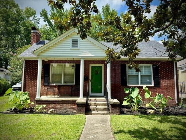 Primary Photo - SHORT TERM AVAILABLE [Shandon]