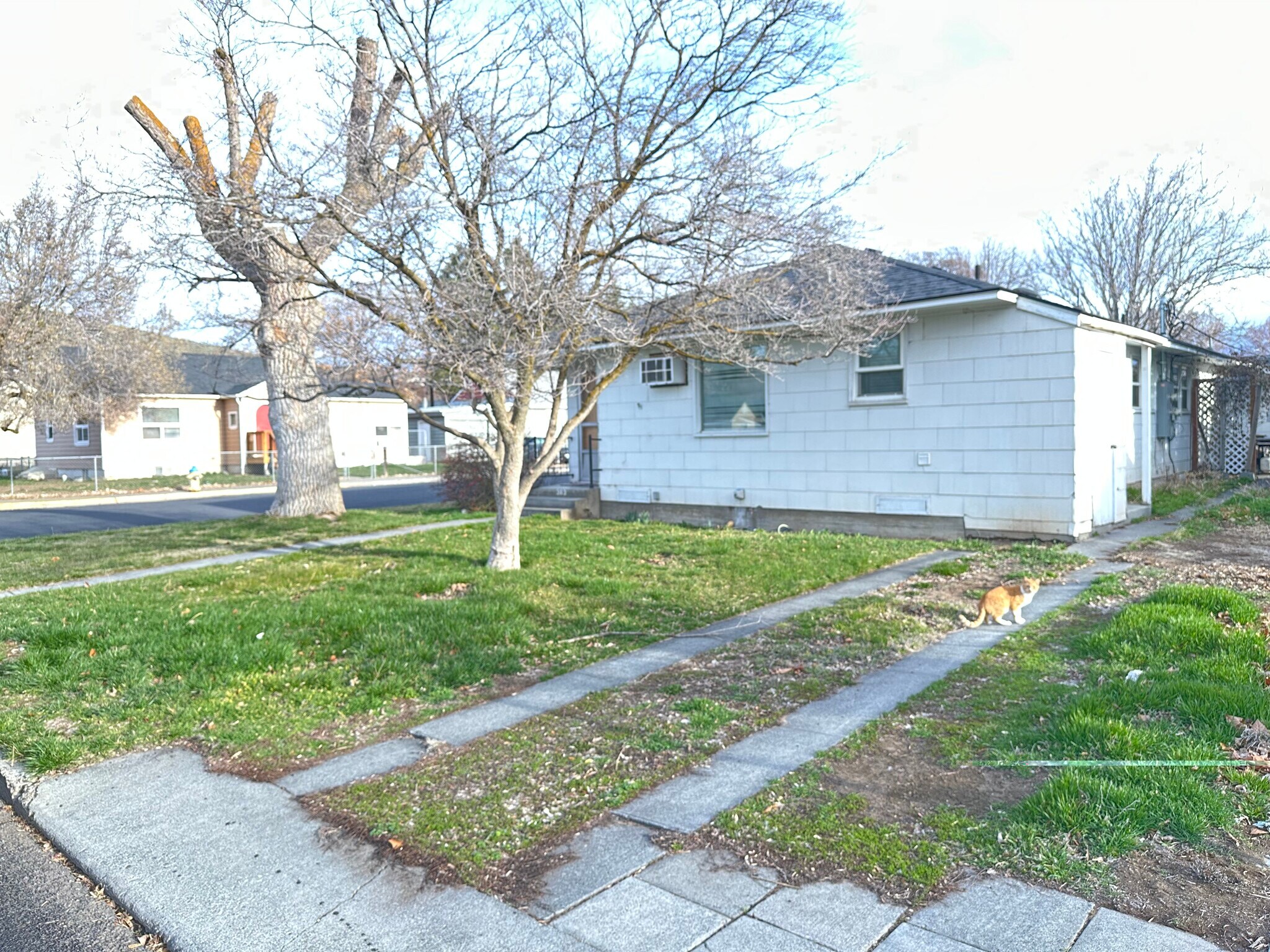 Building Photo - 363 6th Ave SW