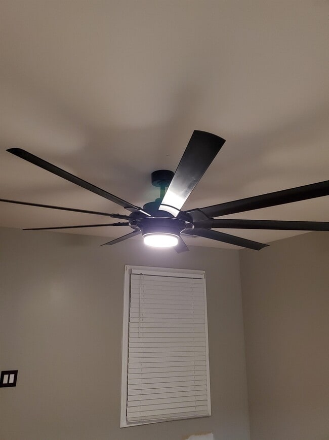 Building Photo - 817 Rockbridge St