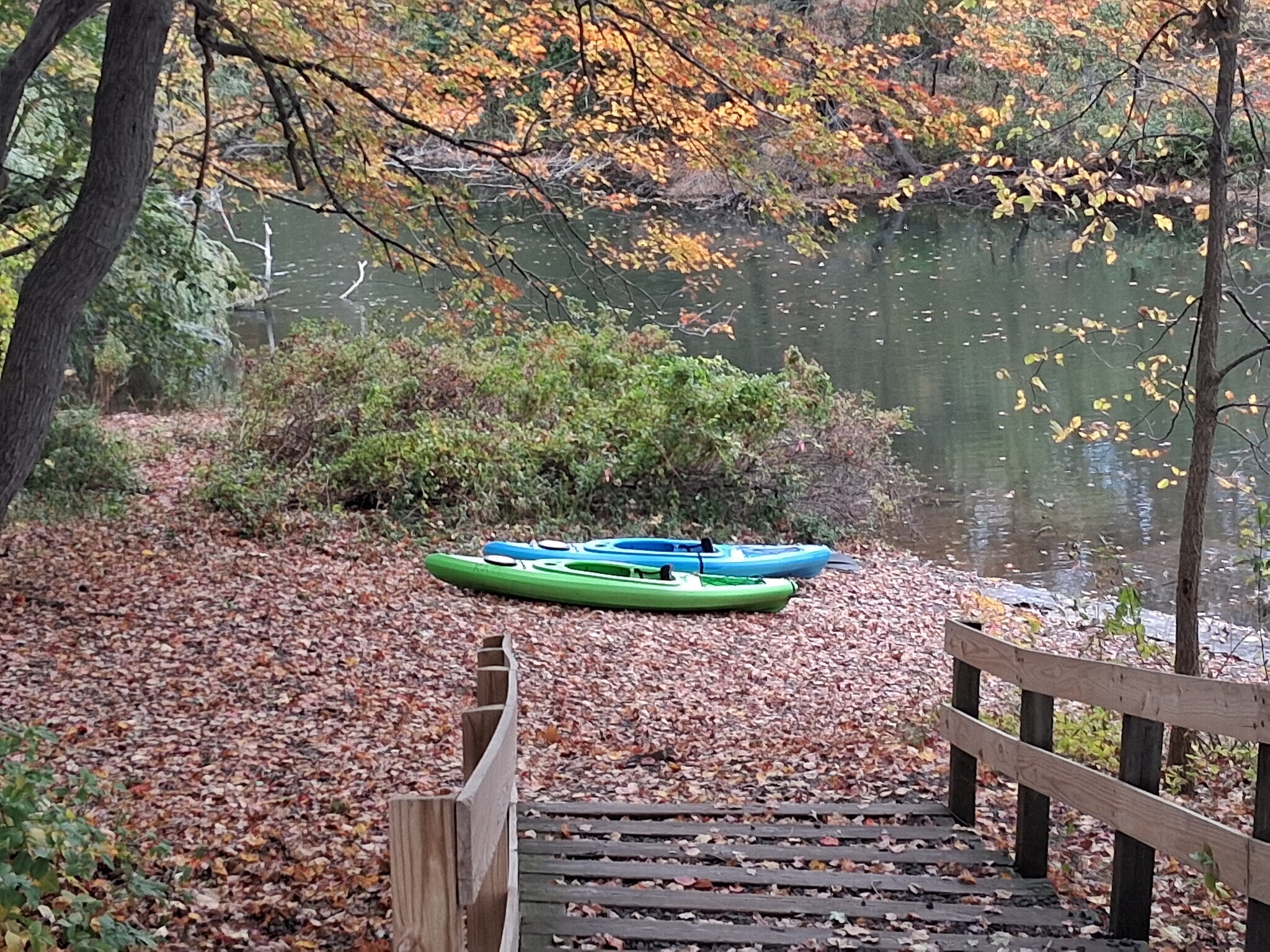 East Rock Kayak Rentals - 261 View St