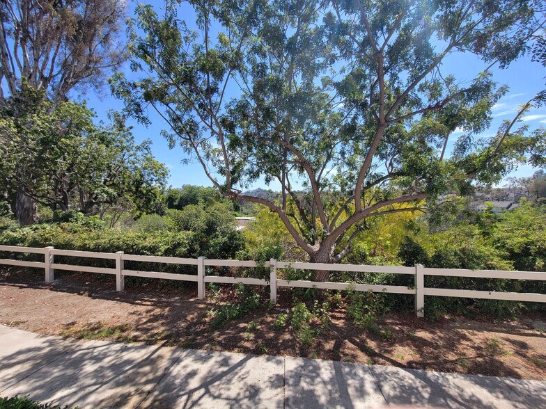View out the front of property - 23065 Via Pimiento