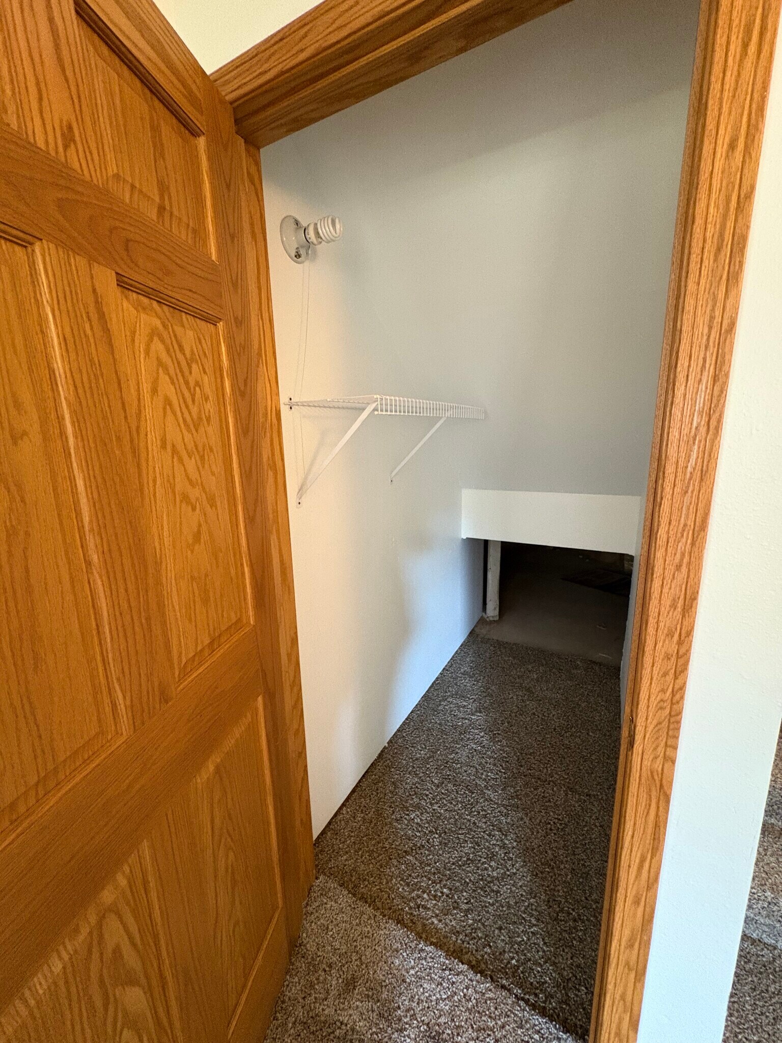 basement-under stair storage - 310 Redruth Dr