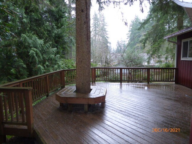 Building Photo - Beautiful 3 Bed 1 Bath Single Family House...