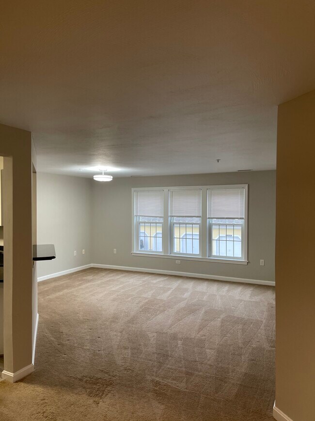 Living room - 1 Riverview Blvd