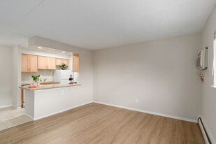 1BR Jr, 1BA - 502SF - Living Room - Ridgeview Apartments
