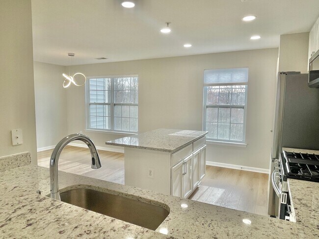 recessed lighting and premium fixtures - 12430 Horseshoe Bend Cir