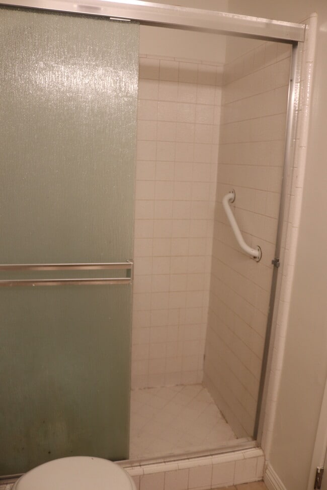 Master Bathroom Shower - 2740 E De Soto St