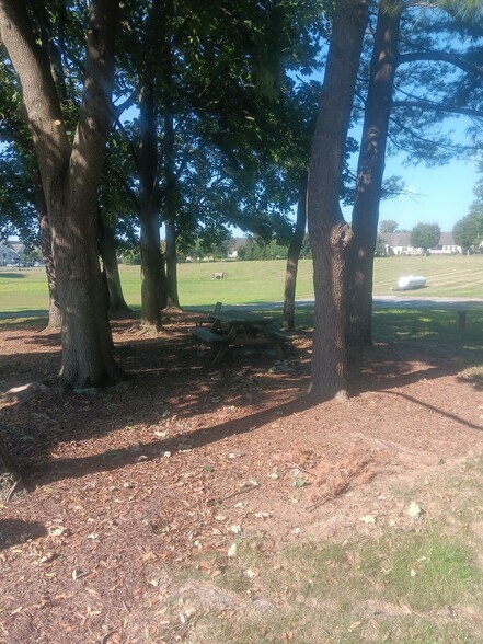 Picnic Area - 20 Lancaster Estates
