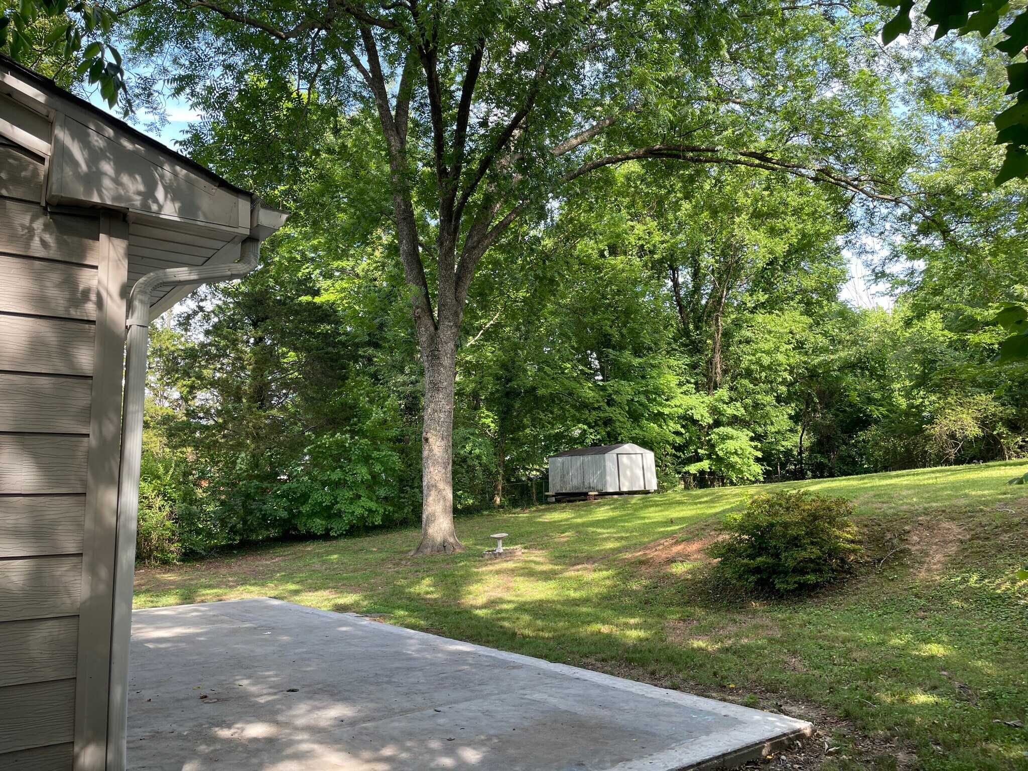 Building Photo - 1408 Bluebird Dr