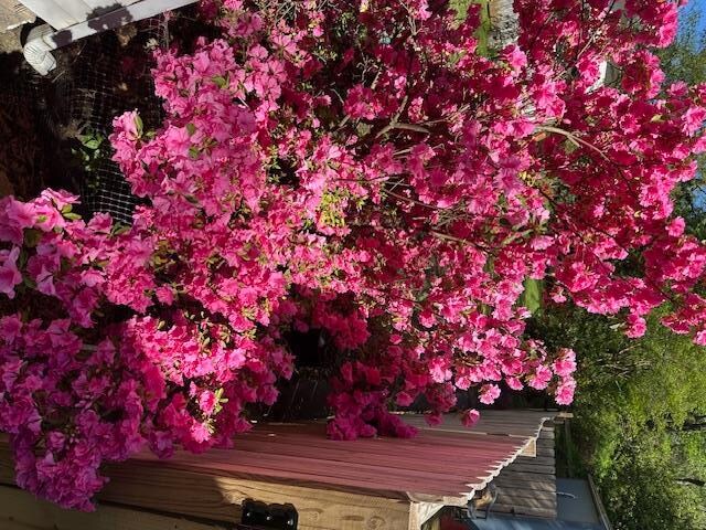 Building Photo - 3330 Myrtle St