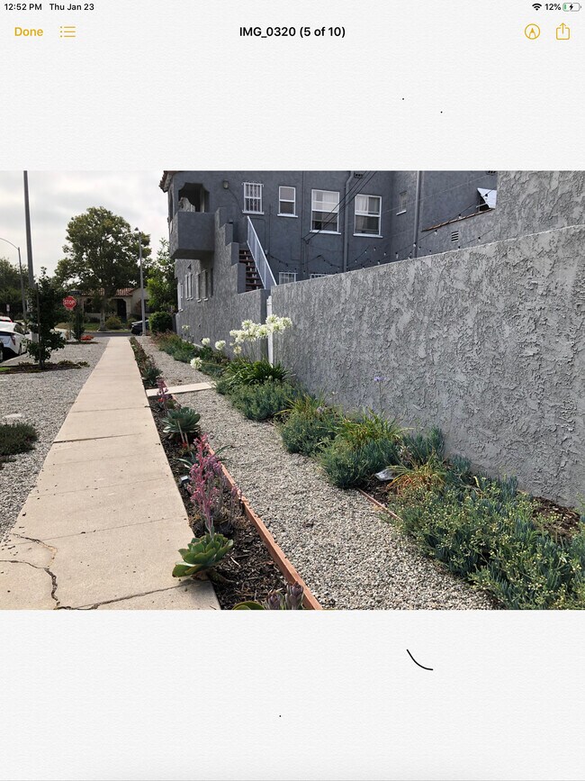 Building Photo - 1603 Stearns Dr